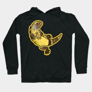 Banana Pectinata lizard is a bananaguana Hoodie